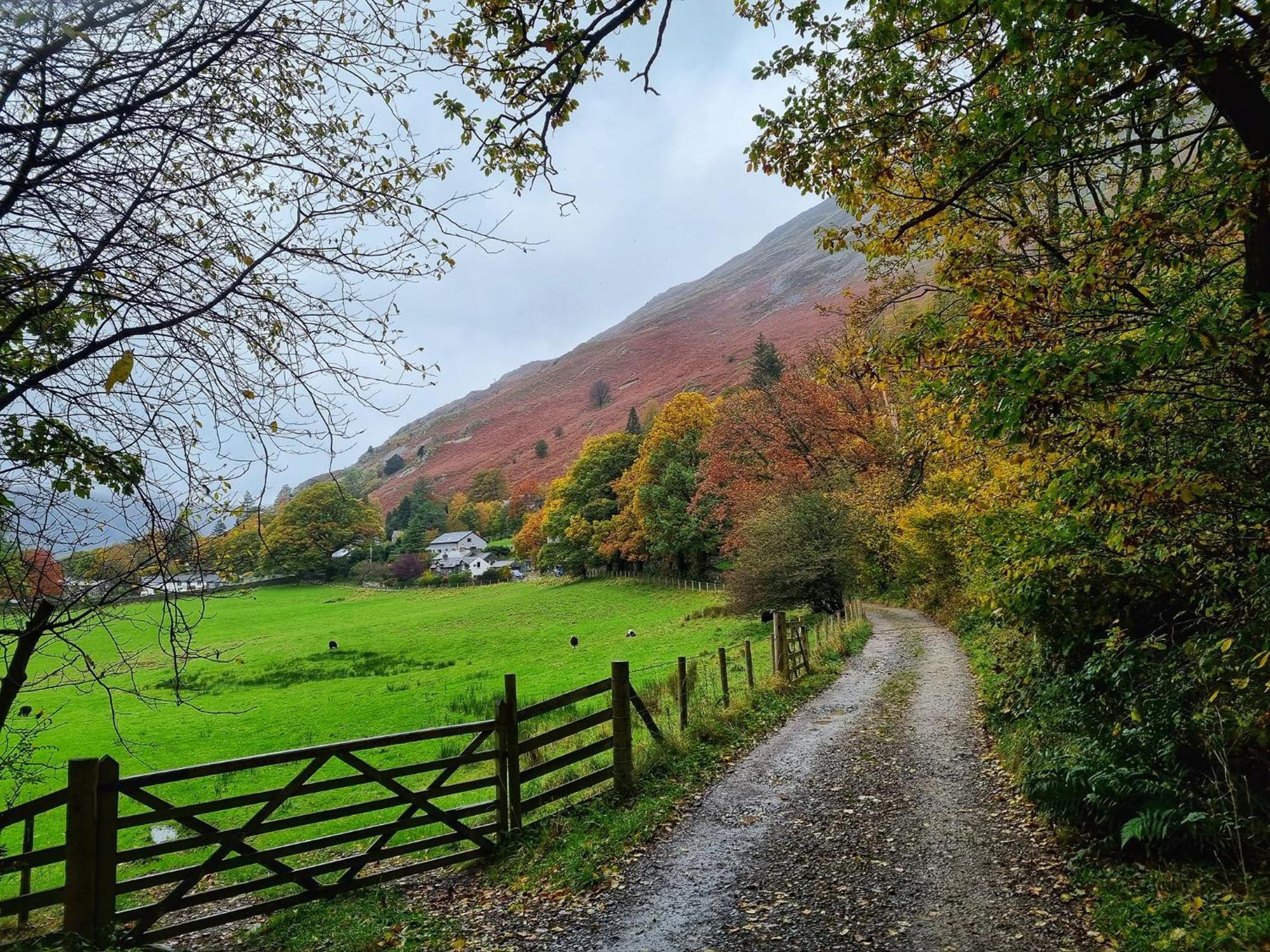 Crookabeck B&B Patterdale Eksteriør billede